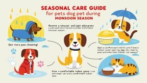 Read more about the article How Often Should You Trim Your Pet’s Nails? A Guide for Dogs, Cats & More